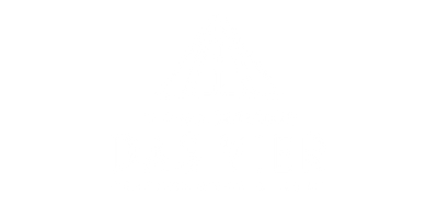 DAS VIER