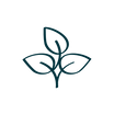 Logo-Symbol für Umwelt und pflanzlich